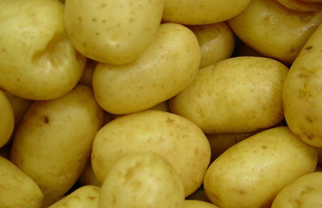 Картопля при геморої: як застосовувати