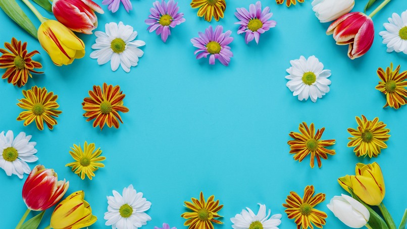 Как цветы влияют на ментальное здоровье человека?