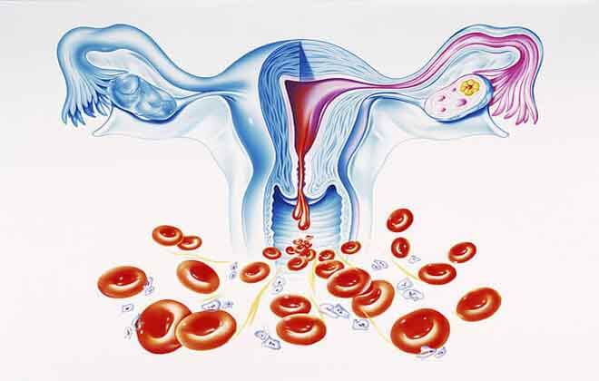Дисфункціональні маткові кровотечі: лікування