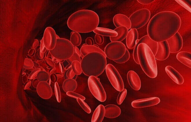У дитини в крові підвищені лейкоцити: причини