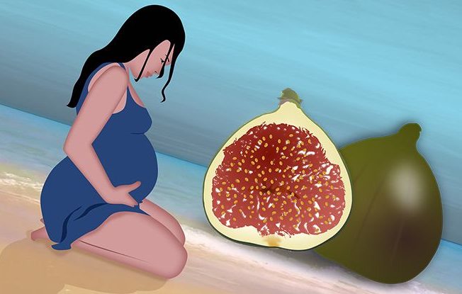 Інжир при вагітності на ранніх і пізніх термінах