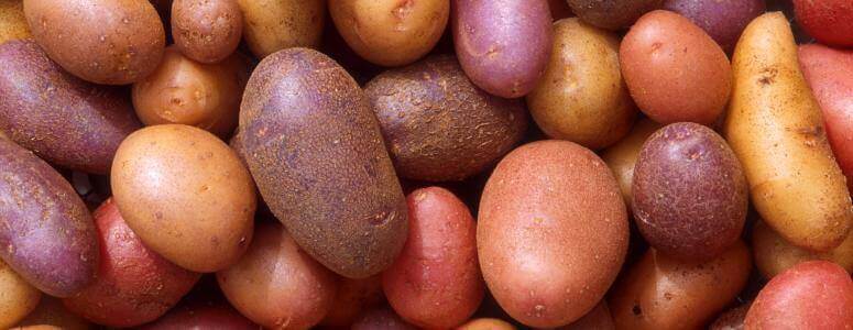 Сонник картопля: до чого сниться і що означає сон про картоплю