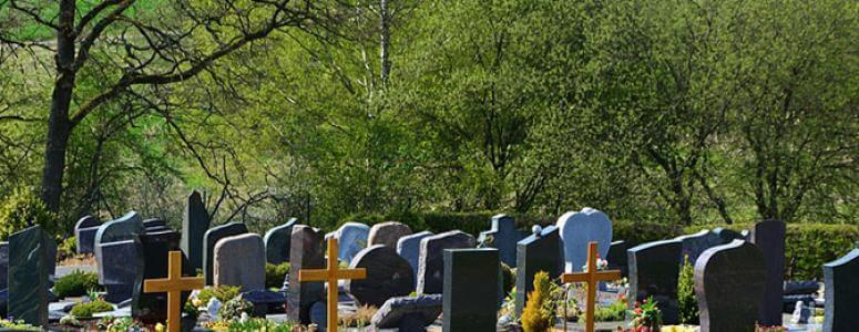 До чого сниться кладовище для жінки і чоловіки?