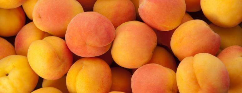 Сонник абрикоси: до чого сняться і що означають сни про абрикоси
