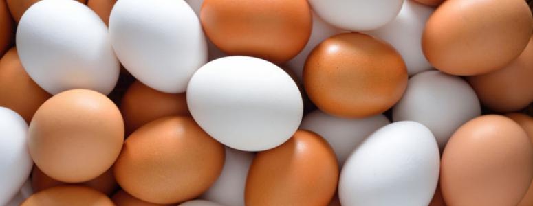 До чого сняться яйця курячі? Що значить бачити в сні багато яєць?