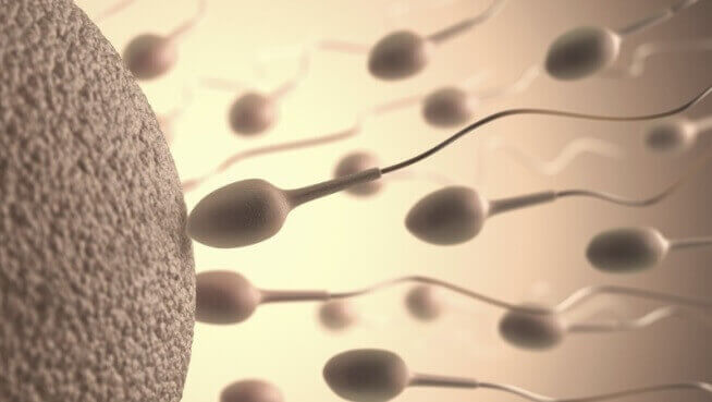 Як визначити якість сперми