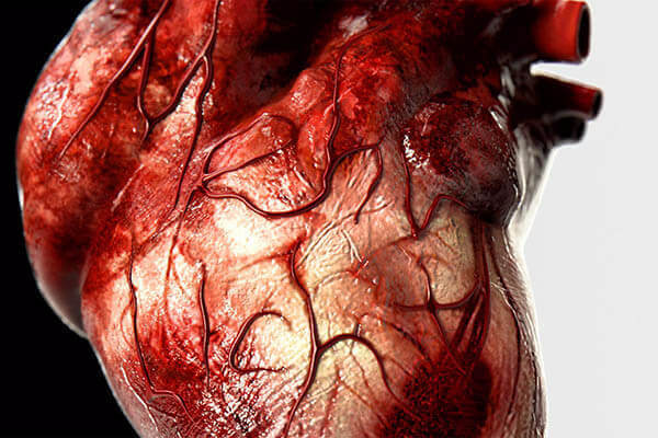 Хвороби серця і судин: список