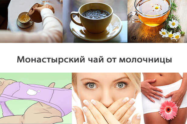 Монастирський чай при лікуванні молочниці   Монастирський чай: де купити