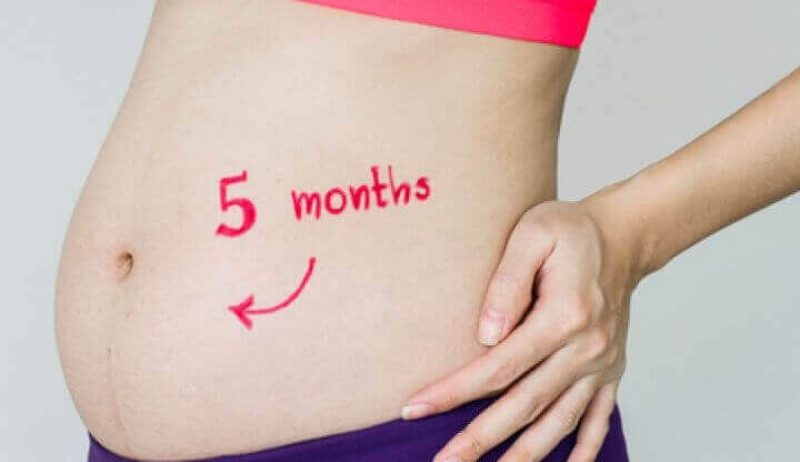 5 місяць вагітності: скільки це тижнів