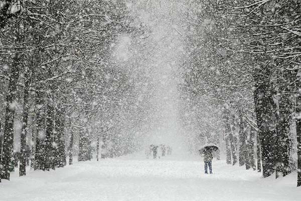 Сонник снігопад: до чого сниться і що означає сон про снігопад