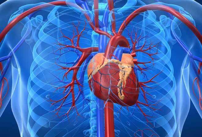 Серцево-судинна дистонія: симптоми