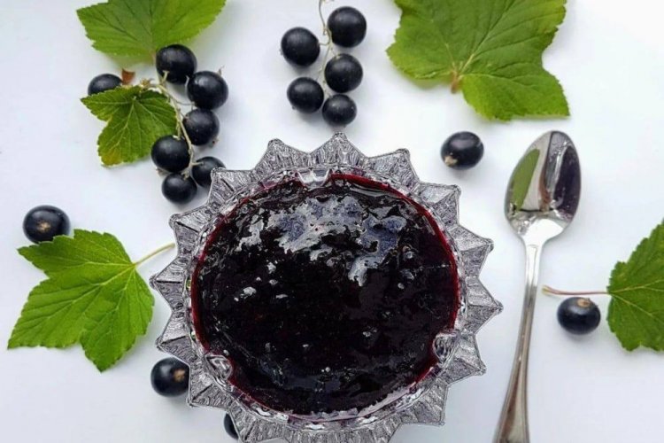 20 найсмачніших рецептів джему з чорної смородини